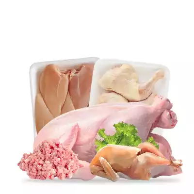 Chiken Meat